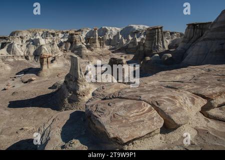 Klassische amerikanische Landschaften: Die Bisti Wilderness im nordwestlichen New Mexico ist ein erodiertes Plateau aus Badlands, das Fossilien und versteinertes Holz enthält. Stockfoto