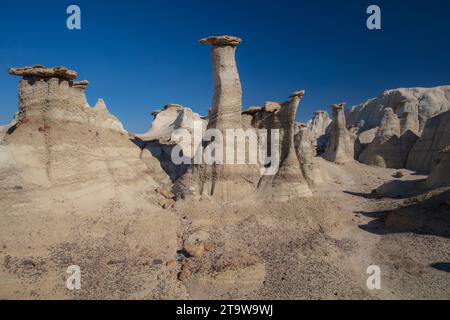 Klassische amerikanische Landschaften: Die Bisti Wilderness im nordwestlichen New Mexico ist ein erodiertes Plateau aus Badlands, das Fossilien und versteinertes Holz enthält. Stockfoto