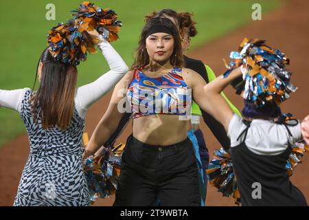 HERMOSILLO, MEXIKO - 24. NOVEMBER: Cheerleader traf Mädchen während eines Spiels zwischen Naranjeros de Hermosillo und Águilas de Mexicali im Fernando Valenzuela Stadium am 24. November 2023 in Hermosillo, Mexiko. (Foto von Luis Gutiérrez/Norte Photo/) HERMOSILLO, MÉXICO - 24 DE NOVIEMBRE: Porrista Hit Girls durante un partido entre Naranjeros de Hermosillo y Águilas de Mexicali como parte de la Liga Mexicana del Pacífico en el Estadio Fernando Valenzuela el 24 de noviembre de 2023 en Hermosillo, México. (Foto de Luis Gutiérrez/Norte Foto/) Stockfoto