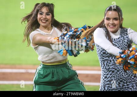 HERMOSILLO, MEXIKO - 24. NOVEMBER: Cheerleader traf Mädchen während eines Spiels zwischen Naranjeros de Hermosillo und Águilas de Mexicali im Fernando Valenzuela Stadium am 24. November 2023 in Hermosillo, Mexiko. (Foto von Luis Gutiérrez/Norte Photo/) HERMOSILLO, MÉXICO - 24 DE NOVIEMBRE: Porrista Hit Girls durante un partido entre Naranjeros de Hermosillo y Águilas de Mexicali como parte de la Liga Mexicana del Pacífico en el Estadio Fernando Valenzuela el 24 de noviembre de 2023 en Hermosillo, México. (Foto de Luis Gutiérrez/Norte Foto/) Stockfoto