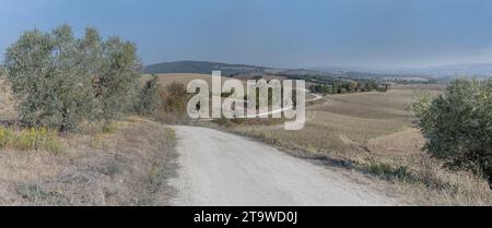 Landschaft mit kurvigem Schotterweg in hügeliger Landschaft, aufgenommen im hellen frühen Herbstlicht in der Nähe von Scansano, Toskana, Italien Stockfoto