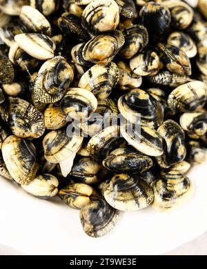 Nahaufnahme eines Tellers mit köstlichen frischen Muscheln wichtiger Größe, die in der Küche gekocht werden Stockfoto