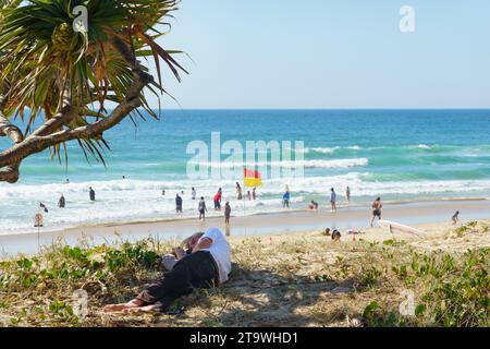 Surfers Paradise Australia - 21. September 2023; Männchen ruhen auf Sand im Schatten auf Pandanus-Baum mit Strand Hintergrund. Stockfoto