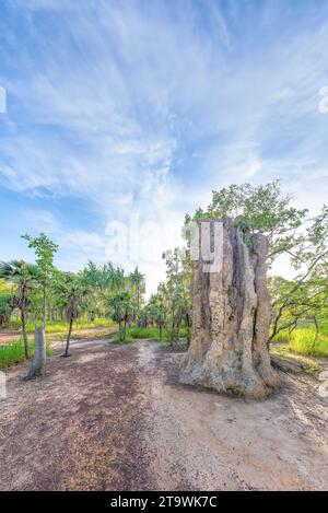 Litchfield National Park, Northern Territory, Australien - Ein Termitenhügel der Kathedrale im Litchfield National Park. Stockfoto