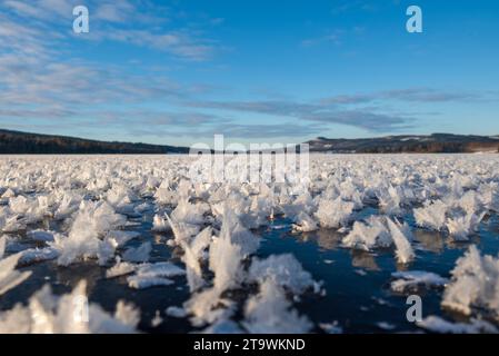 Große Kristalle, die auf einem glänzenden Eis wie Schmetterlinge aussehen, Bild aus Mellansel Schweden. Stockfoto