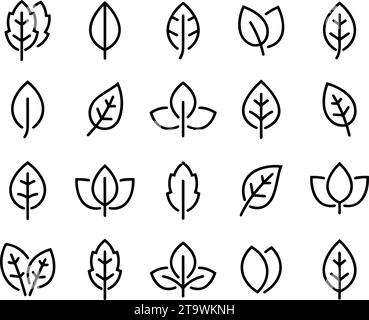 Einfache Liniensymbole für Blatt. Blätter von Bäumen und Pflanzen, Leaves icon Collection, Design für Natur, Öko, Bio, und vegane Etiketten. Vektor Stock Vektor