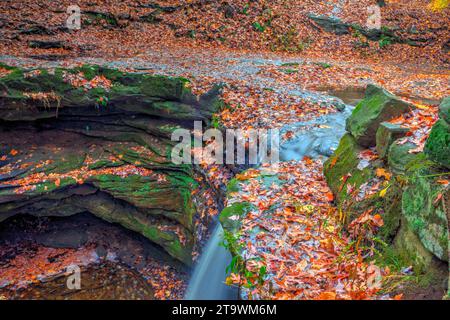 Blick auf die Dundee Falls im Herbst, Beach City Wilderness Area, Ohio Stockfoto