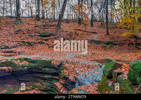 Blick auf die Dundee Falls im Herbst, Beach City Wilderness Area, Ohio Stockfoto