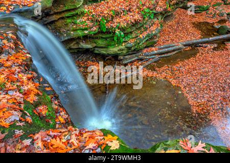 Blick auf die Dundee Falls im Herbst, Beach City Wilderness Area, Ohio Stockfoto