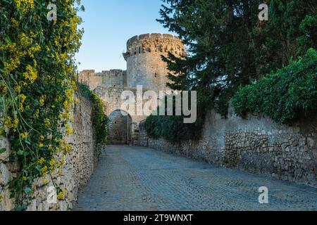 Malerische Sehenswürdigkeit in der wunderschönen Stadt Tarquinia, in der Provinz Viterbo, Latium, Italien. Stockfoto