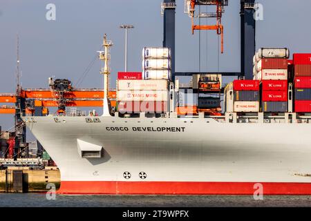 Containerschiff aus Cosco wird mit Portalkranen im ECT Shipping Terminal im Hafen von Rotterdam beladen. Niederlande - 16. März 2016 Stockfoto
