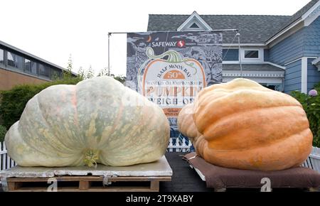 Half Moon Bay, CA. 14, 2023: Riesenkürbisse auf dem 50. Jährlichen Art and Pumpkin Festival im World Pumpkin Capitol of Half Moon Bay. Stockfoto