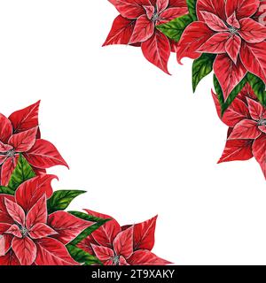 Weihnachtsblume Weihnachtsstern Rahmen, handgezeichnete Aquarellillustration isoliert auf weißem Hintergrund. Blumenillustration zur Weihnachtsdekoration Stockfoto
