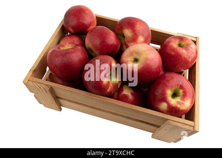 Reife rote Äpfel in Holzkiste isoliert auf weißem Hintergrund, Draufsicht, Bio-Früchte Stockfoto