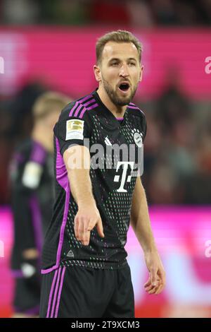 Harry Kane (Bayern), Köln, Deutschland, 24.11.2023, 1. Bundesliga 12. Spieltag, 1. FC Köln - FC Bayern München. DIE DFL-VORSCHRIFTEN VERBIETEN DIE VERWENDUNG VON Stockfoto