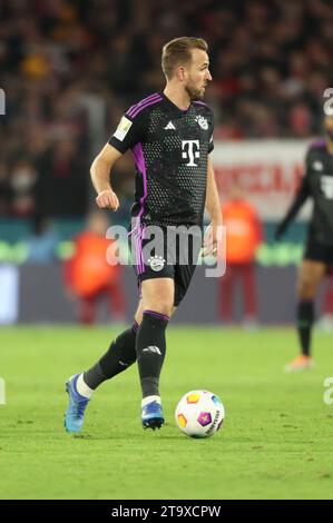Harry Kane (Bayern), Köln, Deutschland, 24.11.2023, 1. Bundesliga 12. Spieltag, 1. FC Köln - FC Bayern München. DIE DFL-VORSCHRIFTEN VERBIETEN DIE VERWENDUNG VON Stockfoto