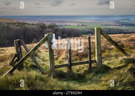 21.11.23 Darwen, Lancashire, Großbritannien. Der achteckige Jubilee Tower (offiziell als Darwen Tower bezeichnet) an der Rasterreferenz SD678215 auf Darwen Hill mit Blick auf die Th Stockfoto