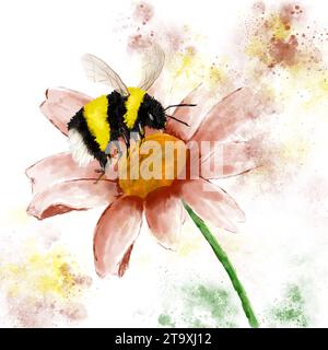 Niedliche Hummel, die eine Blume bestäubt Stockfoto