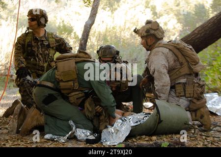 Johnathan Wigle, ein Schützling bei der Charlie Kompanie, 1. Bataillon, 4. Marine-Regiment, 1. Marine-Division, und US-Navy-Korps des 1. medizinischen Bataillons, 1. Marine Logistics Group, behandeln einen simulierten Unfall während eines taktischen Rückholkurses von Flugzeugen und Personal, der von der Expeditionary Operations Training Group, I Marine Expeditionary Force, im Marine Corps Base Camp Pendleton, Kalifornien, am 8. November 2023 veranstaltet wird. Der TRAP Course wurde entwickelt, um die Fähigkeiten der Marines zu entwickeln, Flugzeuge, Personal und Ausrüstung in strenger Umgebung zu bergen. EOTG ist ein Stockfoto