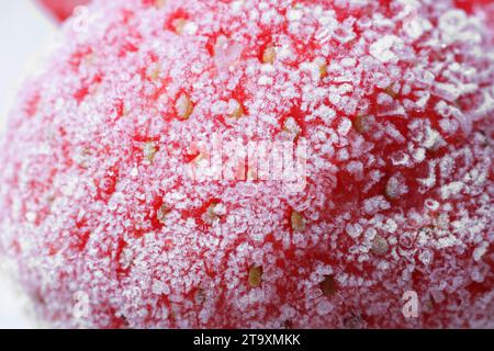 Textur der Erdbeere mit Raureif als Hintergrund, Makroansicht. Gefrorene Beere Stockfoto