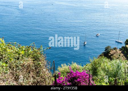 Nationalpark Cinque Terre in Italien. Wandern zwischen Bäumen bedeckten Hügeln an der italienischen Küste Stockfoto