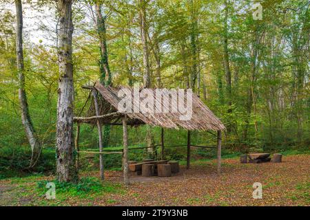 Rast- und Campingplatz im Wald Stockfoto