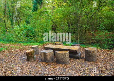 Rast- und Campingplatz im Wald Stockfoto
