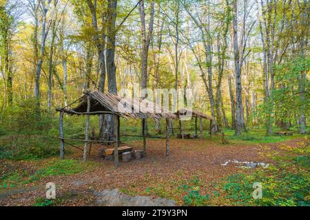 Rast- und Campingplatz im Wald Stockfoto