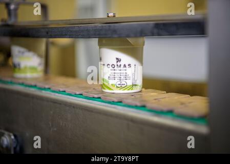 Verpackungsprozess für verschiedene Joghurts im Arbeitsraum des Bauernhofs Comas in Santa Eugènia de Berga (Osona, Barcelona, Katalonien, Spanien) Stockfoto