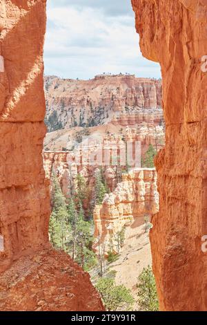 Wandern Sie auf dem Peekaboo Loop Trail im Bryce Canyon National Park Stockfoto