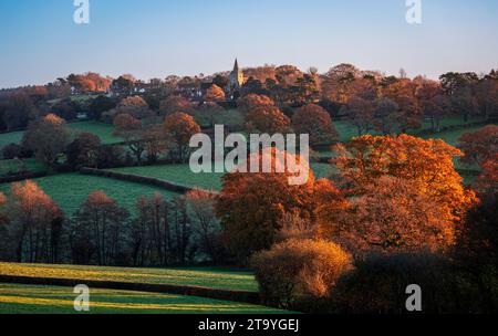 Herbstsonnenlicht auf der St. Giles Kirche und der umliegenden Waldlandschaft in Dallington im Osten Sussex im Südosten Englands Großbritannien Stockfoto