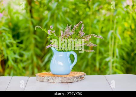 Frische Minze. Heilkräuter für Kräutertee und homöopathische Behandlung. Stockfoto