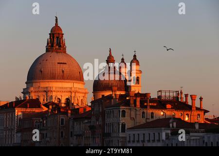 Basilika, Venedig, Italien, Kirche, Sonnenuntergang, Sonnenaufgang, stimmungsvolles Santa Maria della Salute in Venedig Stockfoto