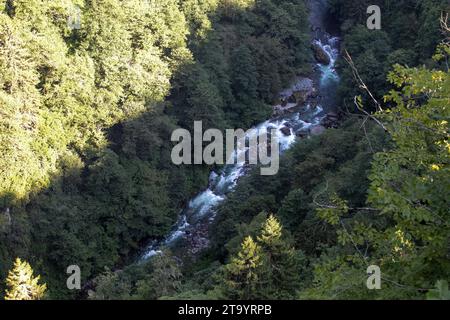 Sturmstrom. Fluss fließt durch den Wald. Es wurde in der Türkei von Rize gedreht. Lokaler Name firtina deresi Stockfoto