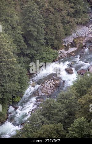 Sturmstrom. Fluss fließt durch den Wald. Es wurde in der Türkei von Rize gedreht. Lokaler Name firtina deresi Stockfoto