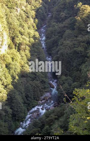 Sturmstrom. Fluss fließt durch den Wald. Es wurde in der Türkei von Rize gedreht. Lokaler Name firtina deresi Stockfoto