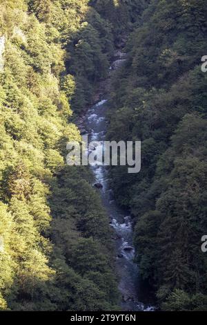 Sturmstrom. Fluss fließt durch den Wald. Es wurde in der Türkei von Rize gedreht. Lokaler Name firtina deresi Stockfoto