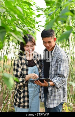 Lächelnde junge Landwirte, die digitale Tablets verwenden, um den Anbau von Pflanzen in Gewächshäusern zu überwachen Stockfoto