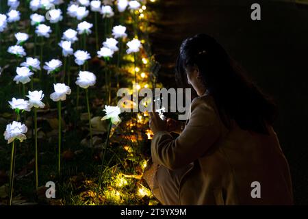 Eine Frau fotografiert die beleuchteten Rosen im Ever After Garden at Night am Grosvenor Square, London, Großbritannien, zum Gedenken an ihre Lieben Stockfoto