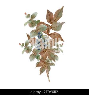 Boho-Bouquet mit grünen Zweigen und blauen Beeren. Handgezeichnete Illustration für Hochzeitseinladung und Grußkarte, isoliert. Stockfoto