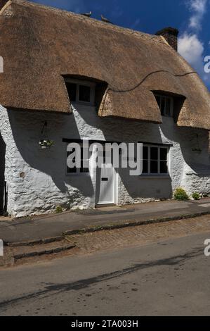 Strohpfauen auf dem Rücken eines weiß getünchten Häuschens mit „Augenbrauen“-Reet im Dorf Little Coxwell im Vale of the White Horse, Oxfordshire, England. Stockfoto