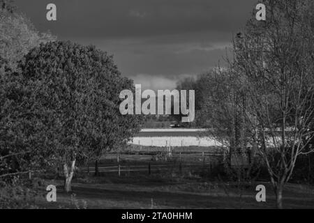 kreis soest, kreis soest in bildern, landkreis soest, nrw, deutschland, Tiere, pflanzen, Architektur, blumen, Lippeauen, Naturfotografie, Landschafts Stockfoto