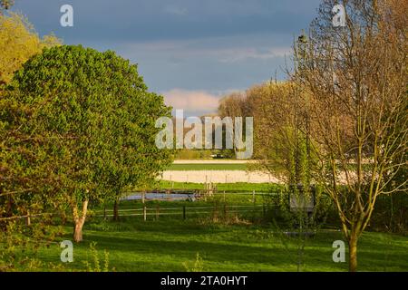 kreis soest, kreis soest in bildern, landkreis soest, nrw, deutschland, Tiere, pflanzen, Architektur, blumen, Lippeauen, Naturfotografie, Landschafts Stockfoto