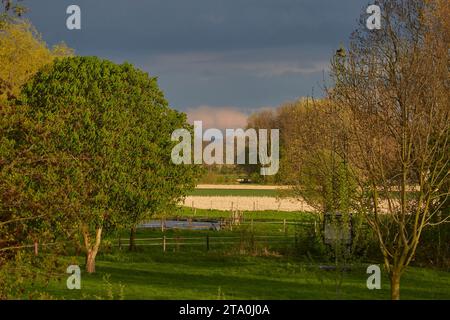 kreis soest, kreis soest in bildern, landkreis soest, nrw, deutschland, Tiere, pflanzen, Architektur, blumen, Lippeauen, Naturfotografie, Landschafts Stockfoto