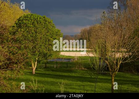 kreis soest, kreis soest in bildern, landkreis soest, nrw, deutschland, Tiere, pflanzen, Architektur, blumen, Lippeauen, Naturfotografie, Landschafts Stockfoto