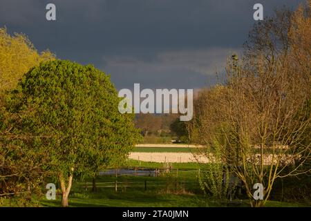 kreis soest, kreis soest in bildern, landkreis soest, nrw, deutschland, Tiere, pflanzen, Architektur, blumen, Lippeauen, Naturfotografie, Landschafts Stockfoto