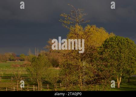 kreis soest, kreis soest in bildern, landkreis soest, nrw, deutschland, Tiere, pflanzen, Architektur, blumen, Lippeauen, Naturfotografie, Landschafts Stockfoto