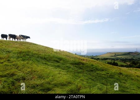 Die atemberaubende Schönheit der Azoren, Portugal: Eine unvergessliche Reise durch die atemberaubenden Landschaften dieses Atlantikparadieses Stockfoto