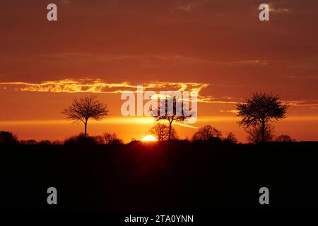 Sonnenaufgang zwischen den Feldern bei Erwitte Horn, Kreis Soest, NRW, Deutschland, Europa - Sonnenaufgang zwischen den Flügeln, nordrhein-westfalen, Stockfoto