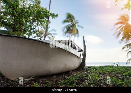 Schiffswrack eines kleinen Bootes im Strandmeer zwischen Palmen Stockfoto